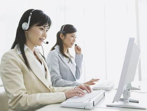 英語專業畢業生的黃金賽道 聚焦信息咨詢服務，開啟無限職業可能