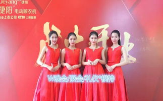 禮儀策劃慶典服務(wù) 婚禮、開(kāi)業(yè)與活動(dòng)現(xiàn)場(chǎng)的完美呈現(xiàn)
